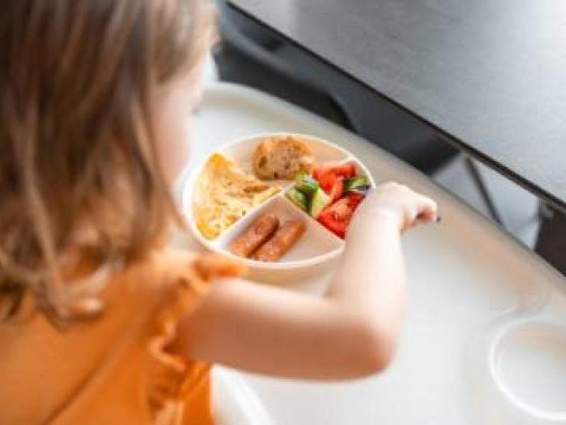 Desafios alimentares para crianças com TEA será tema de workshop