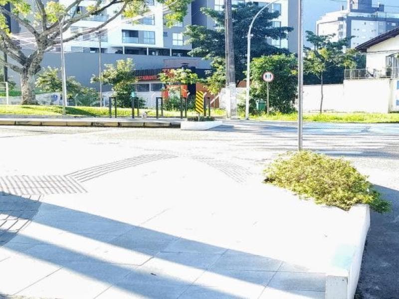 Lançado novo edital do Programa Adote o Verde
