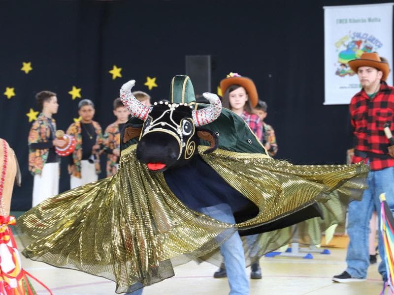 Boi de Mamão inicia temporada de exibições para escolas municipais