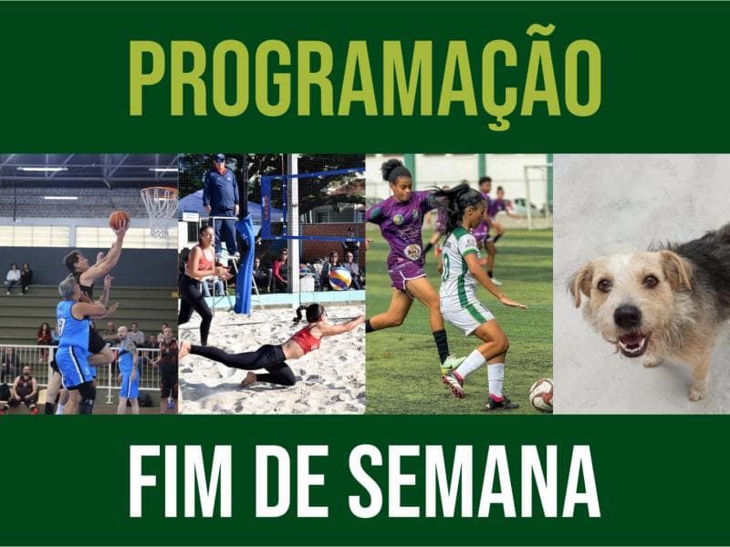Confira a agência do fim semana em Jaraguá do Sul