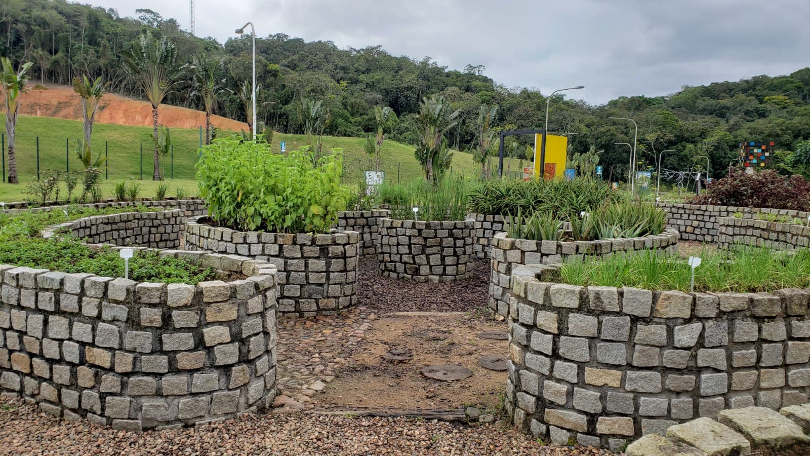 Oficina com plantas medicinais irá movimentar Parque da Inovação