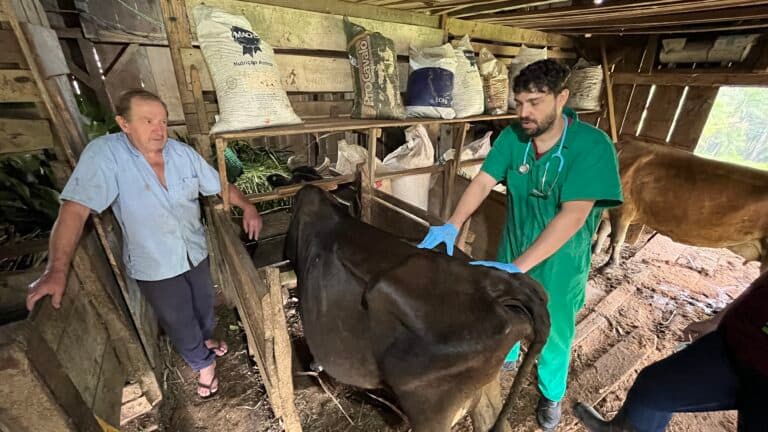 Assistência Veterinária faz parte da rotina dos criadores locais