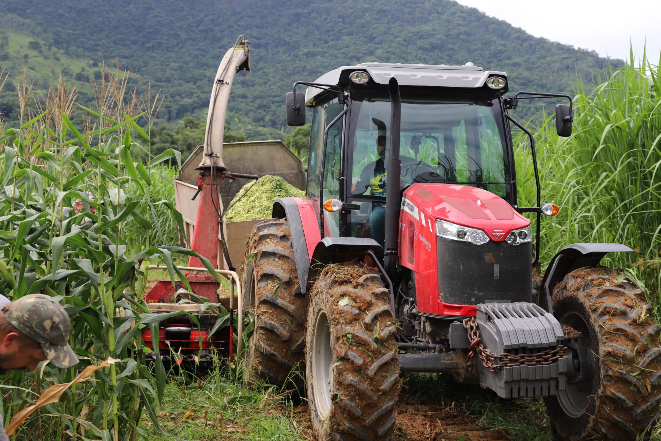 Avaliação: Veja os destaque do ano na Secretaria de Desenvolvimento Rural e Abastecimento