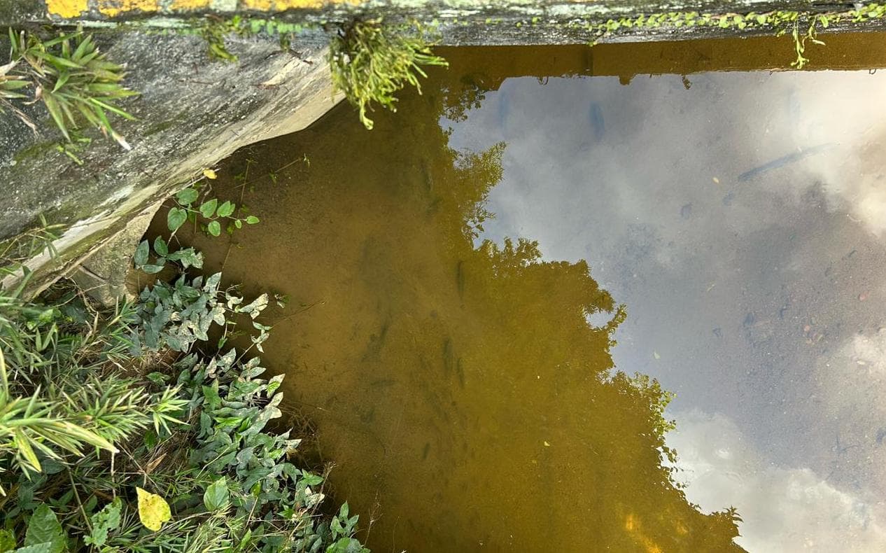Fujama identifica possível descarte irregular de resíduos em ribeirão do Chico de Paulo