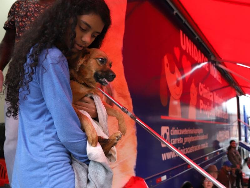 Fujama promoverá castrações gratuitas de cães e gatos em junho