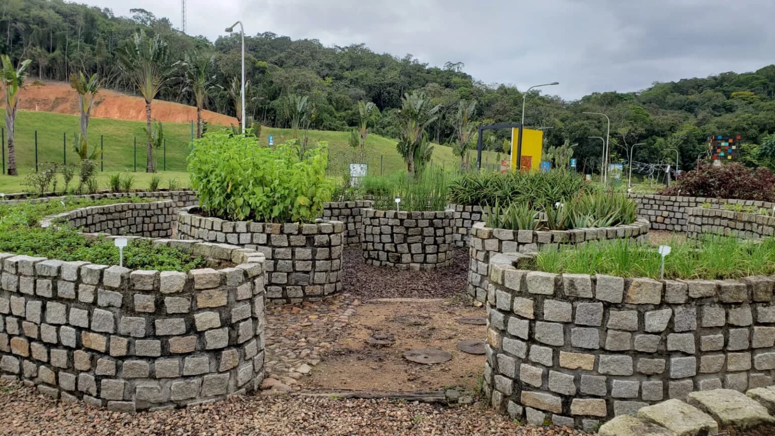 Inscrições para oficina sobre plantas medicinais seguem abertas
