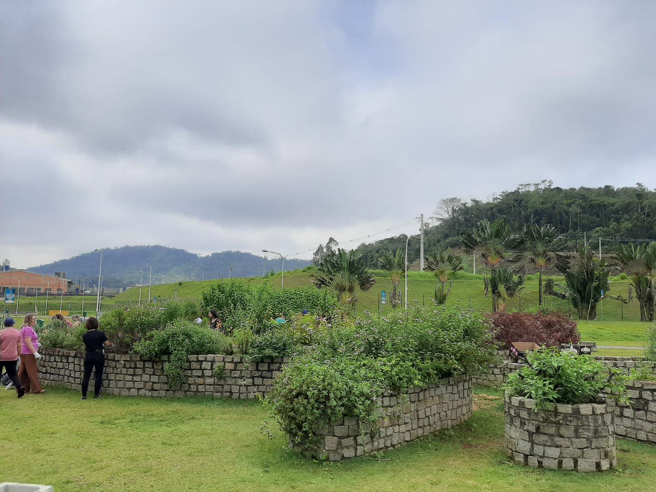 Oficina promove revitalização do Jardim Sensorial do Parque da Inovação