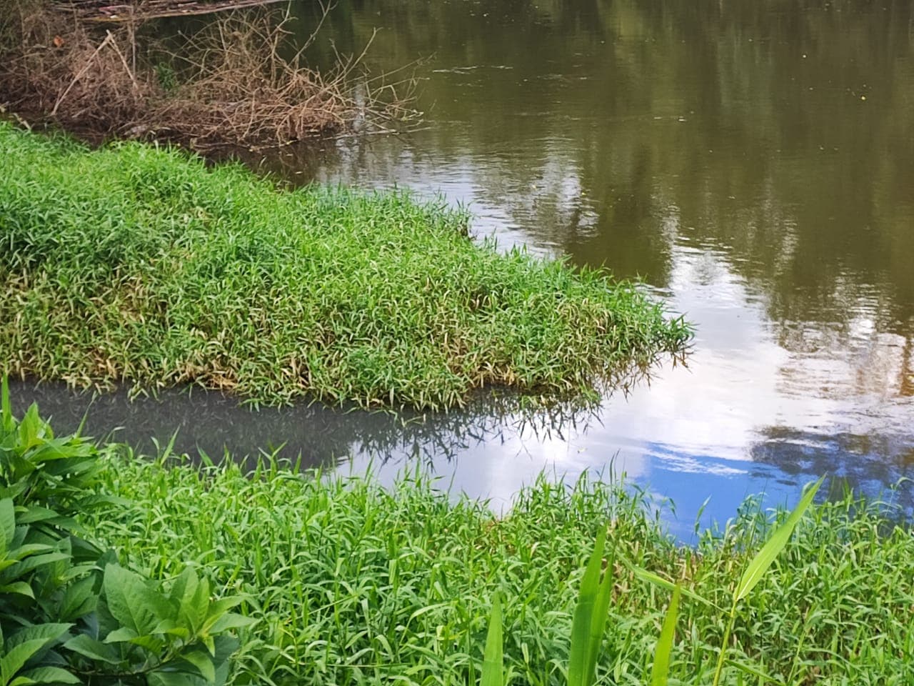 Fujama atende denúncia de possível poluição hídrica em córrego no Vieira