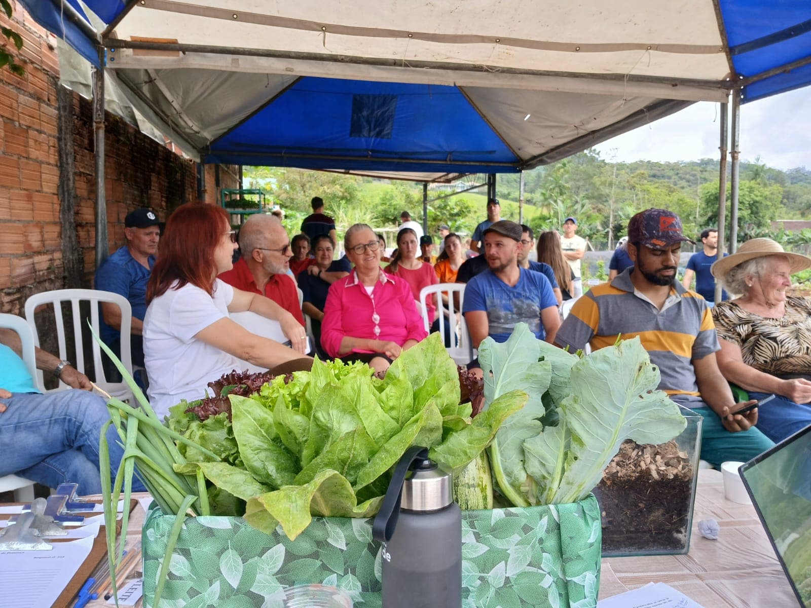 Programa Germinar encerra ciclo do Intercâmbio de Experiências