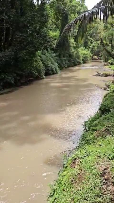 Fujama apura relatos de alteração na água do Ribeirão Manso