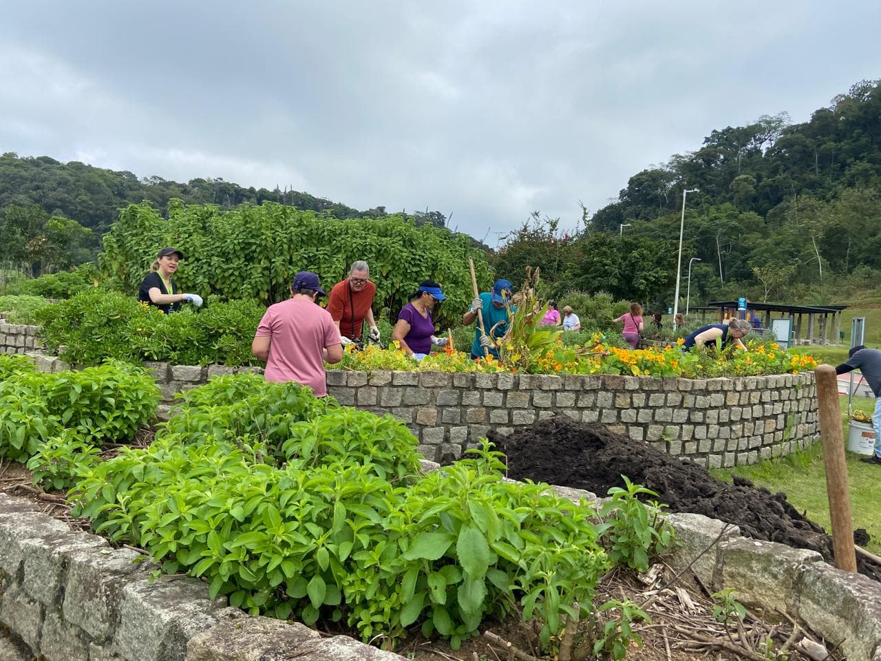 Abertas inscrições para a atividade “Mandala Sensorial”