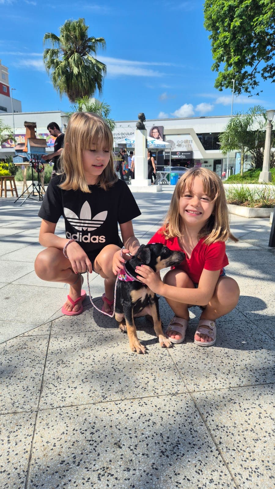 Fujama: 14 animais ganham novos lares por meio da feira de adoção